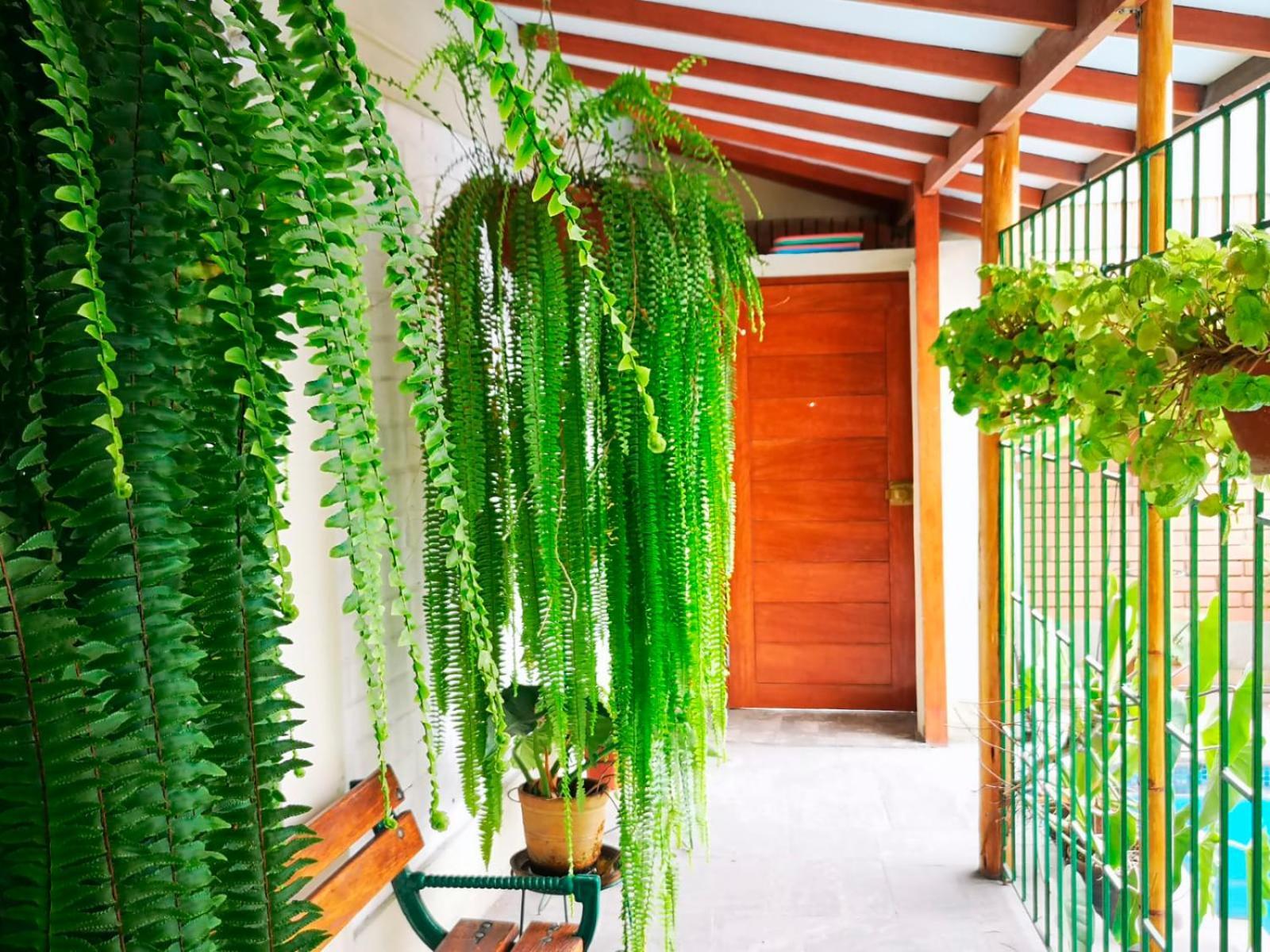 Casa Amarello Apartment Лима Екстериор снимка